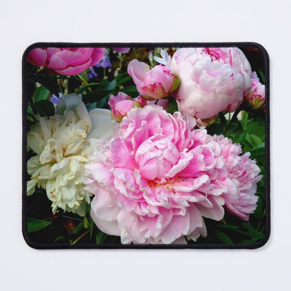 Item preview, Elegant Pink and White Peonies Romantic vintage pink floral designed and sold by hollycooper.