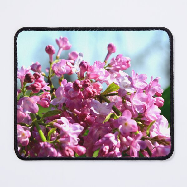 Item preview, Lilacs, purple pink  romantic classic floral photo  designed and sold by hollycooper.