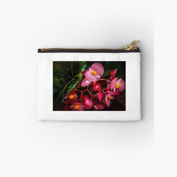 Item preview, Begonia designed and sold by David Creagh.