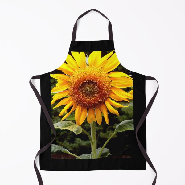 Item preview, Giant Mammoth yellow Sunflower photo | yellow flower, yellow floral designed and sold by hollycooper.