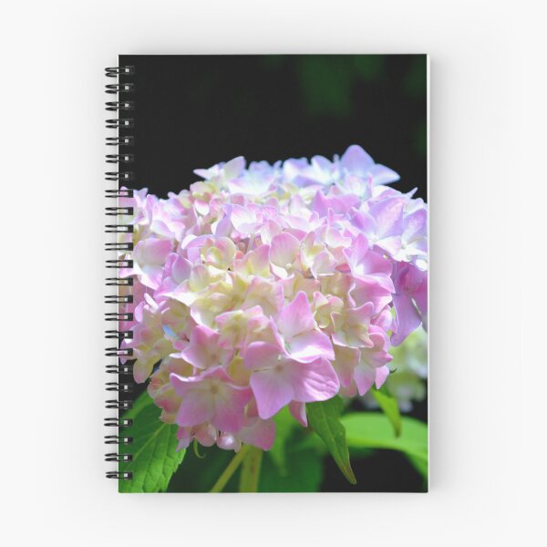 Item preview, romantic pink and blue hydrangeas, purple pink Floral, Yellow hydrangeas , pink hydrangeas, purple and blue hydrangeas designed and sold by hollycooper.