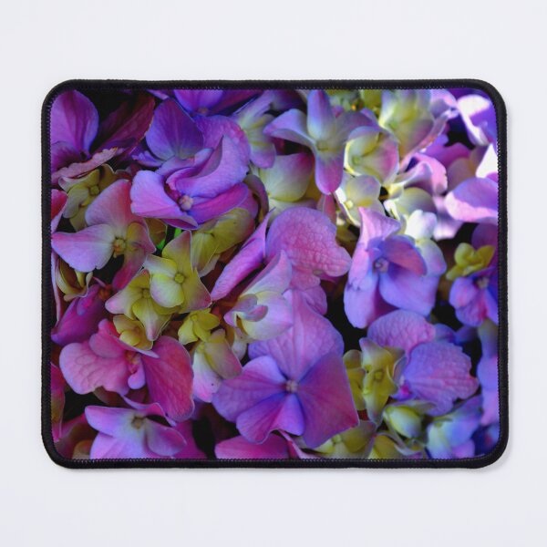 Item preview, Romantic Purple, very peri periwinkle  Hydrangeas designed and sold by hollycooper.