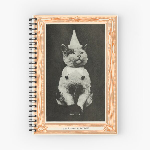 Item preview, Hey! Diddle, Diddle - Kittens and Cats: a Book of Tales by Eulalie Osgood Grover  designed and sold by Weird Visions.