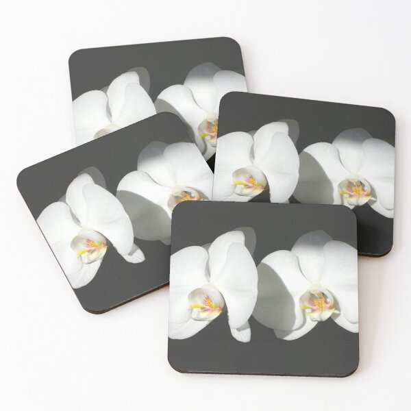 Item preview, Romantic moody Orchids | white orchid photo | tropical white flowers designed and sold by hollycooper.