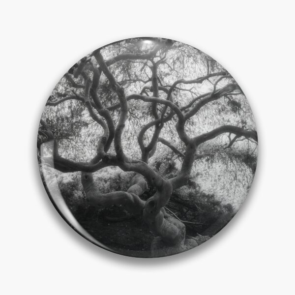 Item preview, Dreamy Curly Trunk Maple designed and sold by Shelly Gunderson.
