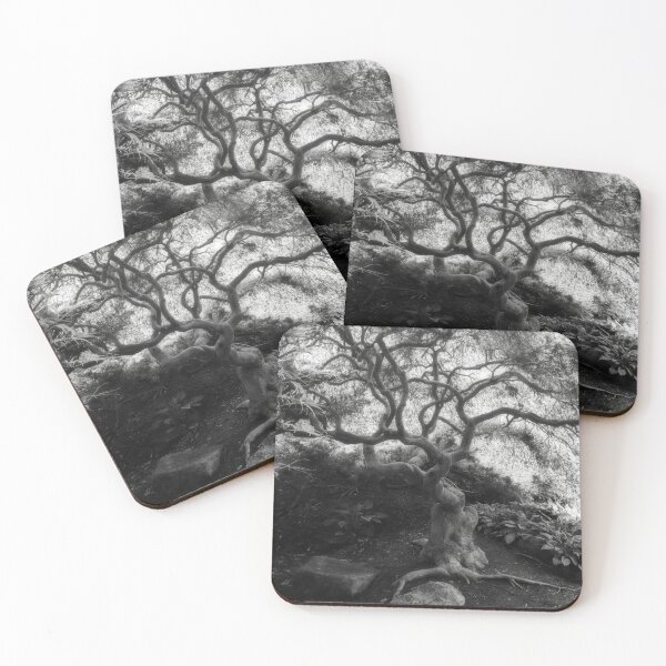 Item preview, Dreamy Curly Trunk Maple designed and sold by Shelly Gunderson.
