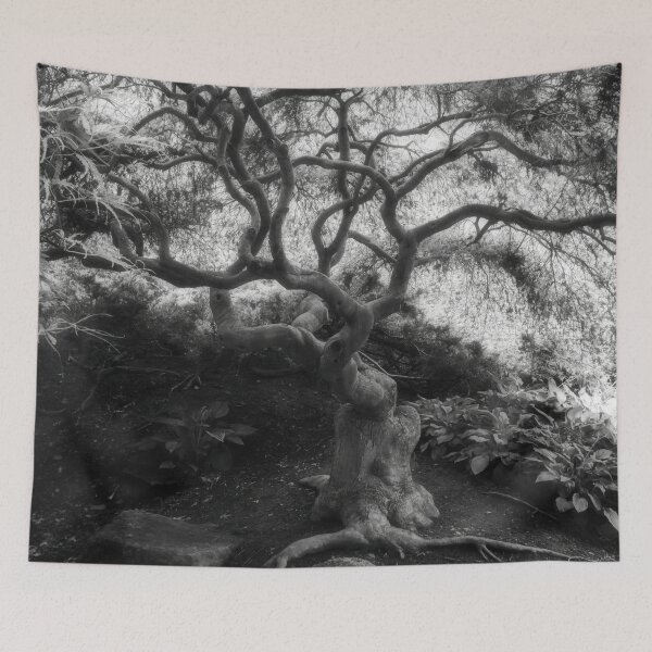 Item preview, Dreamy Curly Trunk Maple designed and sold by Shelly Gunderson.