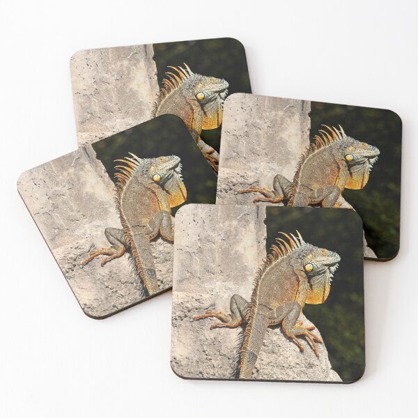 Item preview, Iguana 2 designed and sold by Alex Preiss.