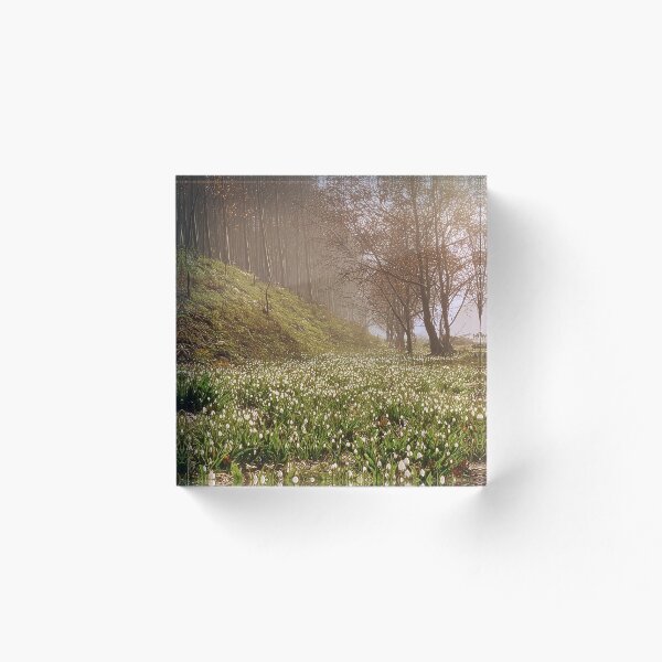 Item preview, Despertar la primavera designed and sold by Stellar Geometry.