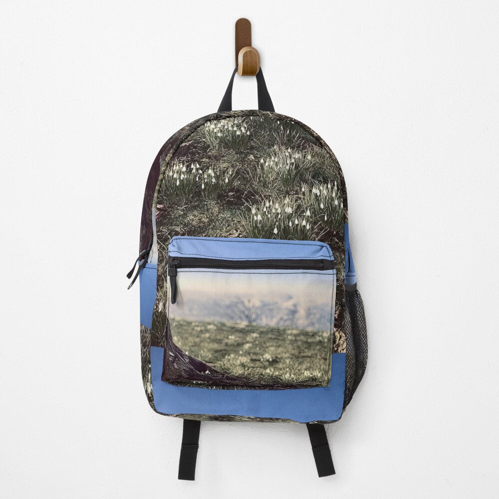 Item preview, Backpack designed and sold by StellarGeometry.