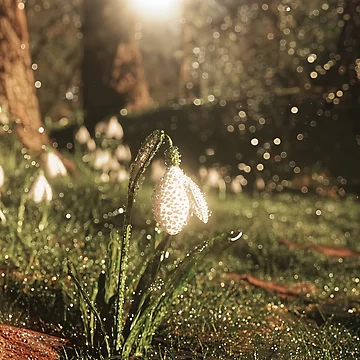 Artwork thumbnail, Spring Awakening by Stellar Geometry