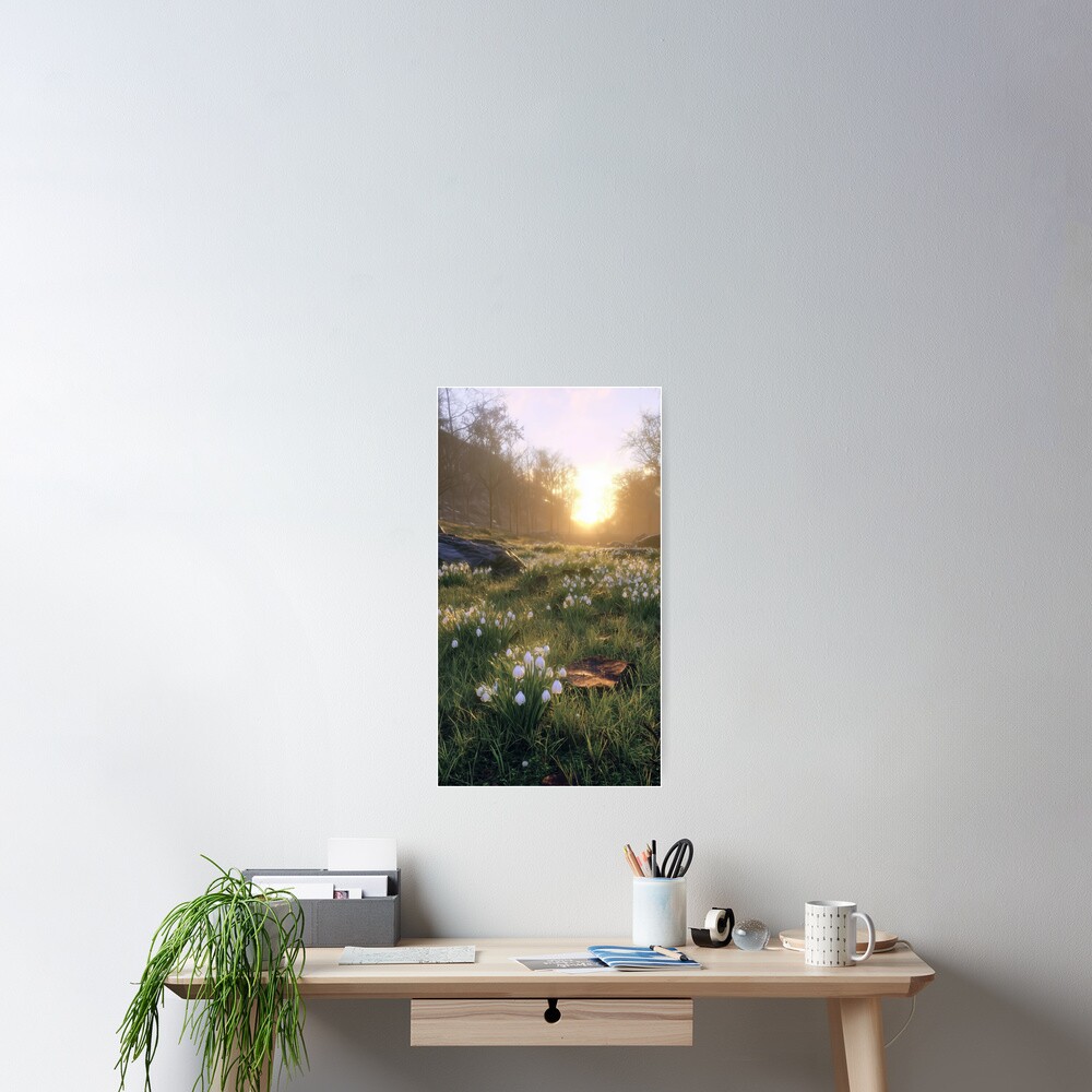 Item preview, Poster designed and sold by Stellar Geometry.