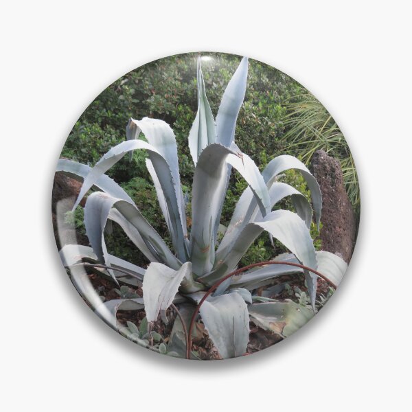 Item preview, Grey agave designed and sold by greentiger1.
