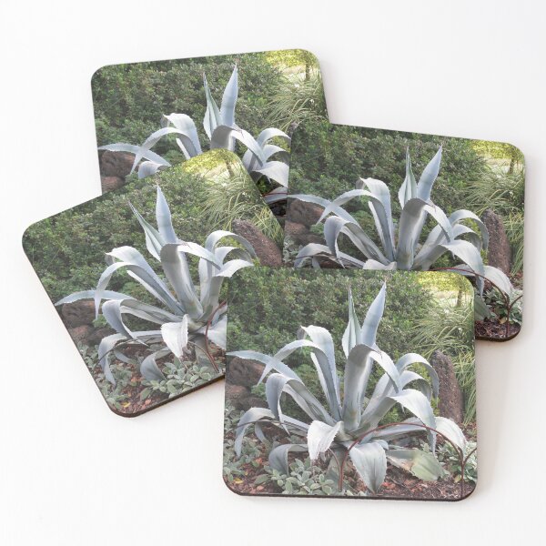 Item preview, Grey agave designed and sold by greentiger1.