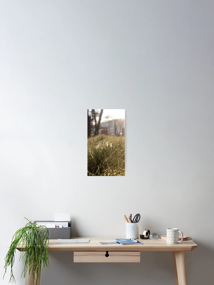Thumbnail 2 of 3, Poster, Spring Awakening designed and sold by Stellar Geometry.