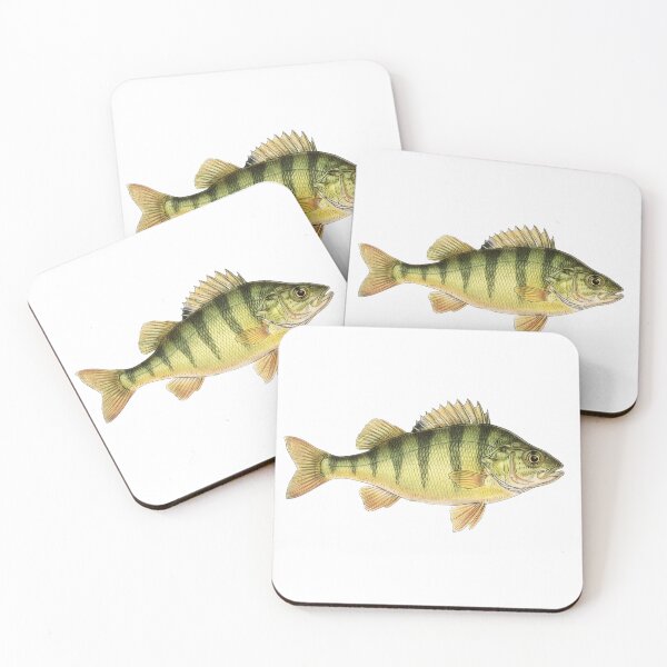 Item preview, Yellow Perch designed and sold by Fish Town.
