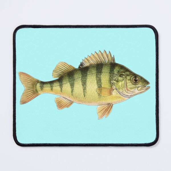 Item preview, Yellow Perch designed and sold by Fish Town.