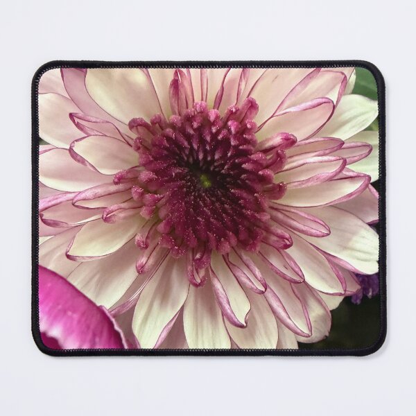 Item preview, Bloom Brightly designed and sold by Betsy Phillips.