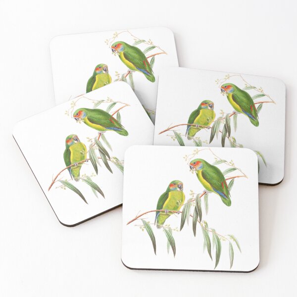 Item preview, Coxen's fig parrot- Critically Endangered Bird Australia - Vintage Illustration - John Gould designed and sold by karwilberevivalcollection.