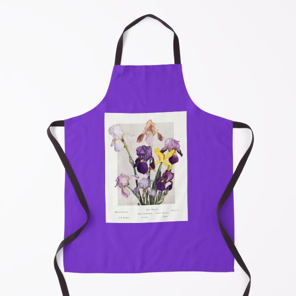 Item preview, Vintage Botanical Illustration (1910s) of Named Historical Bearded Irises designed and sold by Rockyctees.