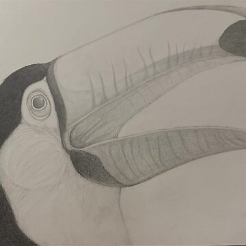 Artwork thumbnail, Toco Toucan by Michaelkscotts