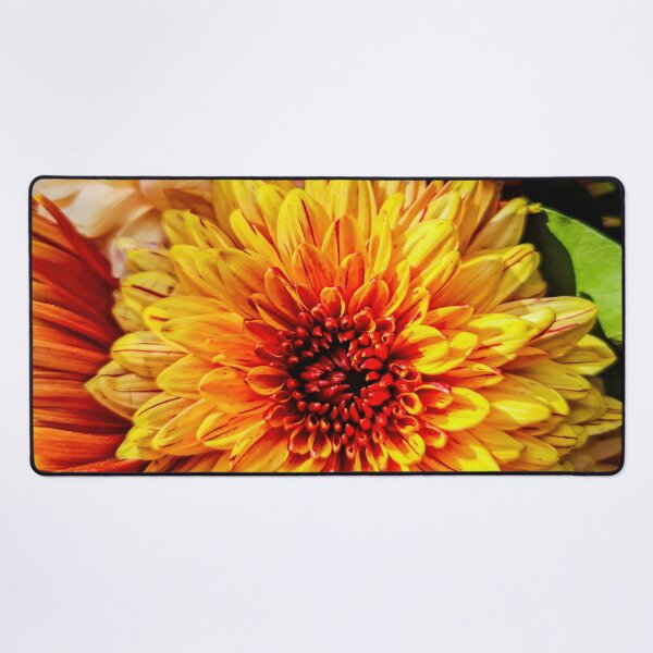 Item preview, Chrysanthemum Flowers 6 designed and sold by nastiaart.