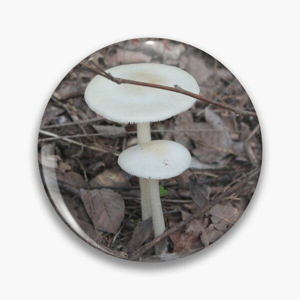 Item preview, White Forest Mushrooms in Autumn Leaf Litter designed and sold by Blossom-Breeze.