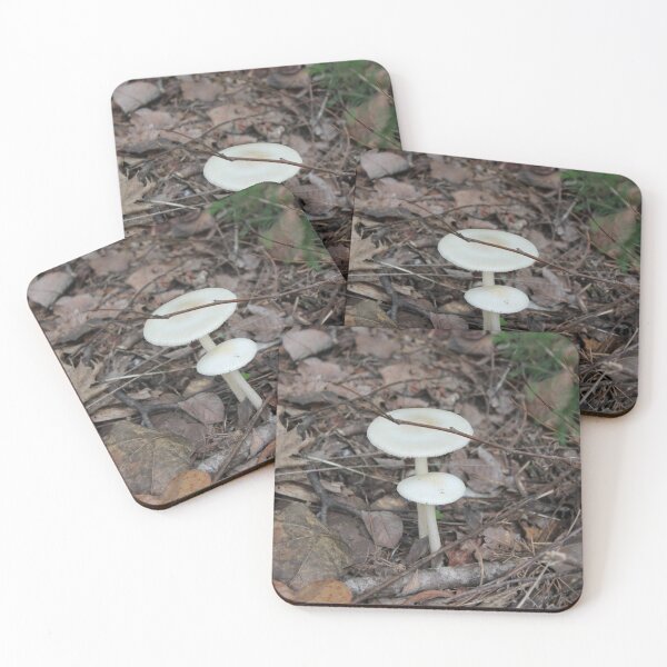 Item preview, White Forest Mushrooms in Autumn Leaf Litter designed and sold by Blossom-Breeze.