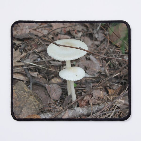 Item preview, White Forest Mushrooms in Autumn Leaf Litter designed and sold by Blossom-Breeze.