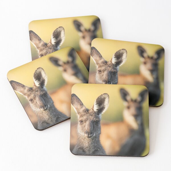 Item preview, Female and Male Eastern Grey Kangaroos designed and sold by robdwildlife.
