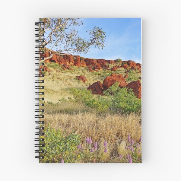 Item preview, Desert Garden designed and sold by Harry Oldmeadow.