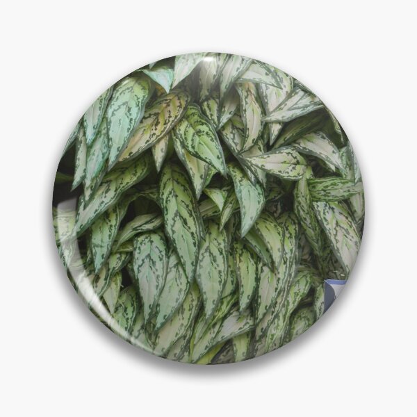 Item preview, Verdant Dining, Paris designed and sold by stuart murdoch.