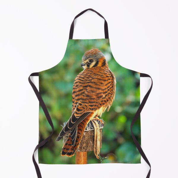 Item preview, Watchful Sentinel: American Kestrel Perched Wildlife Photography Nature Art designed and sold by TheHikersEye.