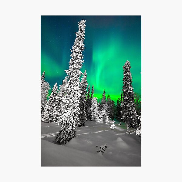 Northern Lights, Aurora Borealis, Arctic, Winter, Alaska Photographic Print
