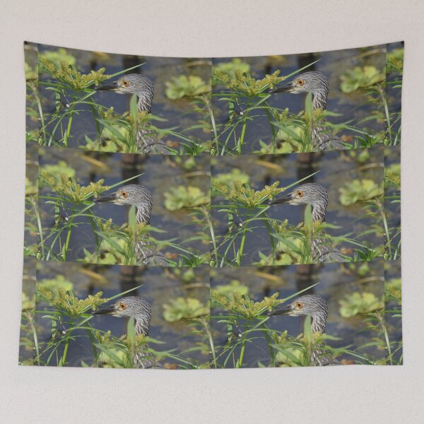 Item preview, Night Heron Juvenile designed and sold by Savannah Gibbs.