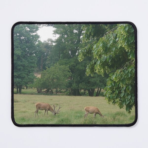 Item preview, Fallow deer designed and sold by MonStile.