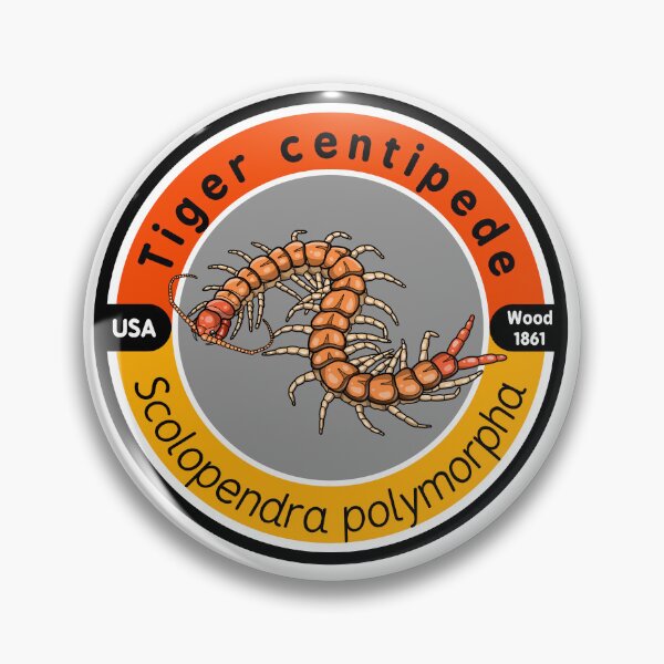 Item preview, Tiger centipede designed and sold by LucasKias.