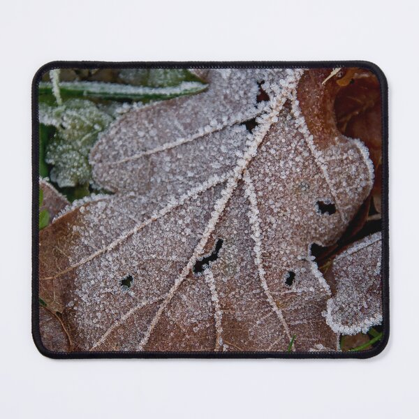 Item preview, Frozen Oak Leaf designed and sold by ShotsbyDesiree.