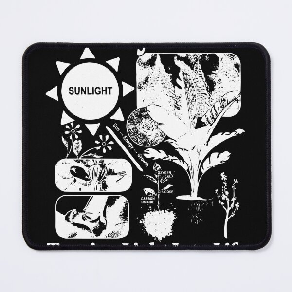 Item preview, Photosynthesis – Turning Light Into Life designed and sold by coracssnpt.