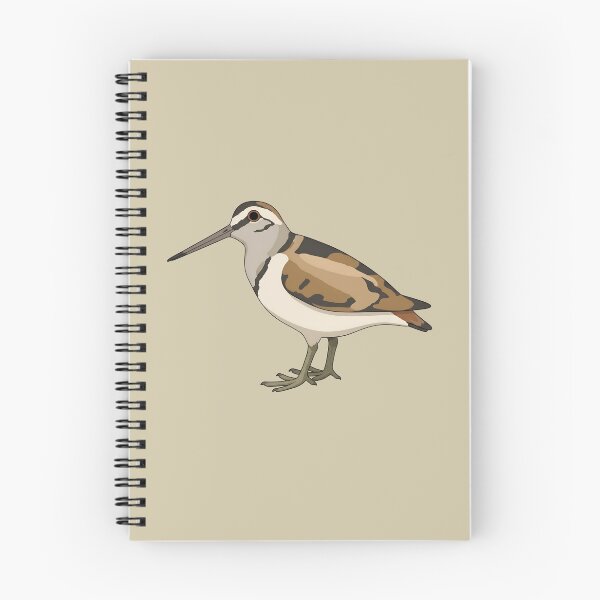 Item preview, American Woodcock Bird Illustration | Wildlife Graphic Art designed and sold by donwillisjrart.