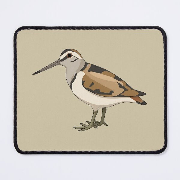 Item preview, American Woodcock Bird Illustration | Wildlife Graphic Art designed and sold by donwillisjrart.