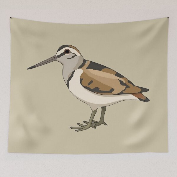 Item preview, American Woodcock Bird Illustration | Wildlife Graphic Art designed and sold by donwillisjrart.