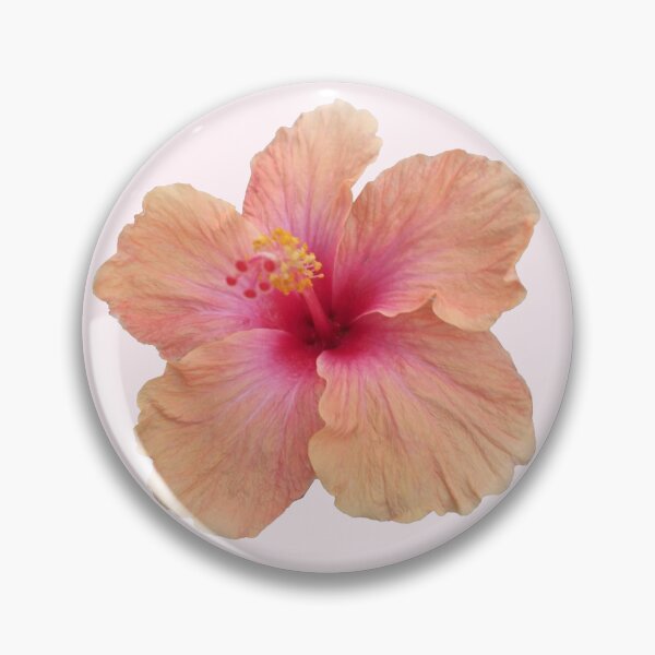 Item preview, peach pink hibiscus flower sticker designed and sold by inainart.