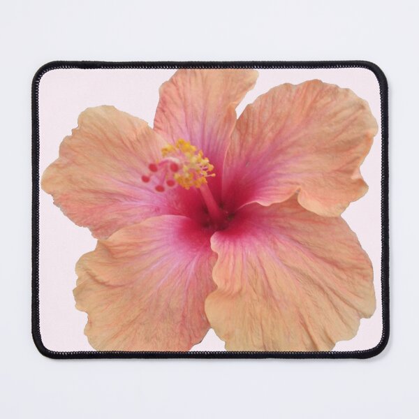 Item preview, peach pink hibiscus flower sticker designed and sold by inainart.