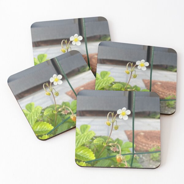 Item preview, Nature Hofstra University bBloom Radiance designed and sold by Danielaadvant.
