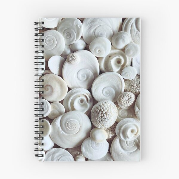 Item preview, Texture of seashells designed and sold by di-Vera-Rosati.
