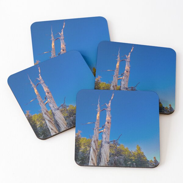 Item preview, Bristlecone Pines in the White Mountains California designed and sold by Trevor and Photos.