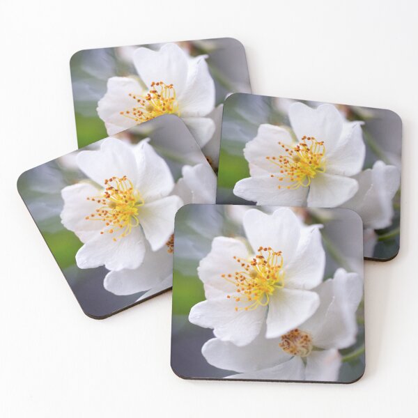 Item preview, Dainty Dog Roses designed and sold by Kasia Design.