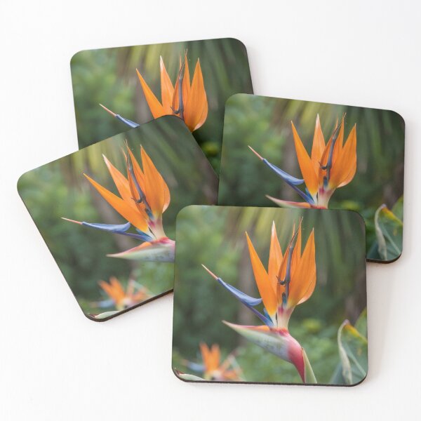Item preview, Nature 96FM Perth Radio Petal Echo designed and sold by Danielaadvant.