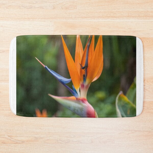 Item preview, Nature 96FM Perth Radio Petal Echo designed and sold by Danielaadvant.
